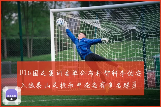 U16国足集训名单公布朴智轩李佑安入选泰山足校和申花各有多名球员参与